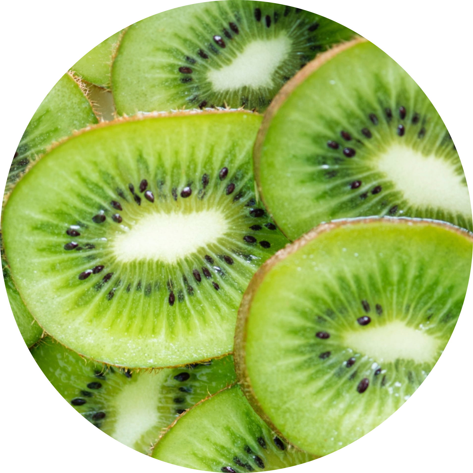 kiwi