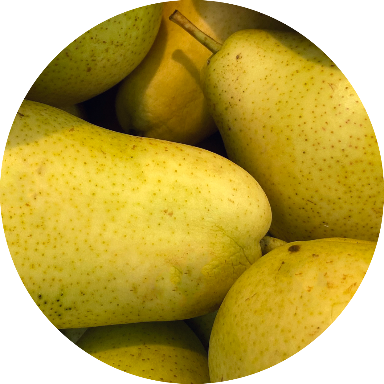 pear