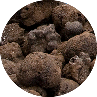 truffle